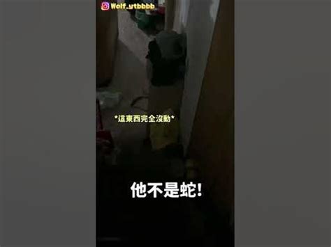 家裡突然出現蛇